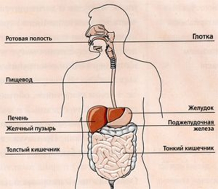 поликлиника 113 женская консультаци